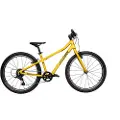 Bemoov M24´´ Ts71 8s 2024 Mtb Cykel