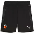 Puma Valencia Cf 25/26 Træning Shorts