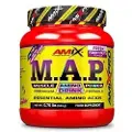 Amix Kort Over Amink Aminosyrer Ananas Og Mango 344g
