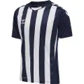 Hummel Core Xk Striped T-shirt Med Korte ærmer