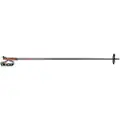 LEKI Woodlife Spadserestokke