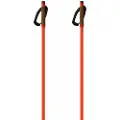 Fischer Storm Gtx S Spadserestokke