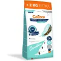Calibra Expert Nutrition Sensitive Salmon 12kg+2kg Hundefoder