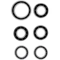 Ceramicspeed Bontrager-2 Coated Lejer