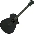 Ibanez AEWC621 Black Flat