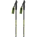 Gabel Pierramenta Carbon Grip Not Assembled Pæle