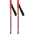 Rossignol Hero Gs Junior Polakker