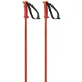 Salomon Polar Spadserestokke