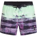 O'Neill Cali Gradient 15´´ Badeshorts