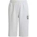 Adidas Originals X Minecraft Shorts