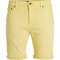 Jack & Jones Rick Icon Ama Shorts