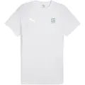 Puma Girona Fc Teamevostripe T-shirt Med Korte ærmer