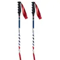 Swix World Cup Pro Sg Carbon Spadserestokke