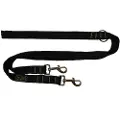 Bub´s Training 3 Pos Hundesnor