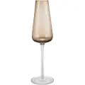 Blomus Champagneglas BELO, sæt med 2 stk, 200 ml, brun, Blomus