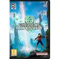 Pc Games One Piece Odyssey Collector