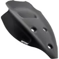 Wrs Ducati Streetfighter V4 1100 Abs 20-22 Du014no Forrude