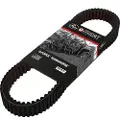 Gates G-force Workhorse 40g3569 Drivrem