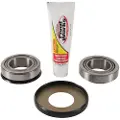 Pivot Works Suz.rm 125 06-07/250 06-08 Styrelagerkit