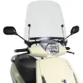 Puig T.g Peugeot Vivacity 3 50 4t E2 2017 Forrude