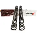 Andreani Yamaha Yz450f 2006-2009 40 N/mm Gaffelfjedersæt