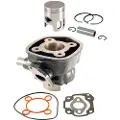 RMS Beauty Minarelli Horizontal/mbk/yamaha 50cc 100080050 Cylinderkit