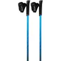 Viking Sports Pro-trainer Pæle