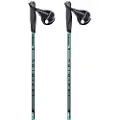Masters MA Nordic Training Walking Pole, vandrestave