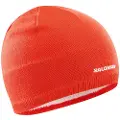 Salomon Logo Beanie
