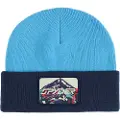 Spyder Link Beanie