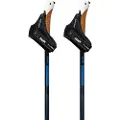 Swix Dynamic D2 Spadserestokke