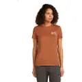 Icebreaker Merino 150 Tech Lite Adventure Ride T-shirt Med Korte ærmer