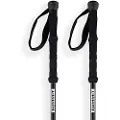 Arva Fuji 3 Parts Powerlock + Long Grip Spadserestokke