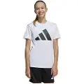 Adidas Essentials Tee Sæt