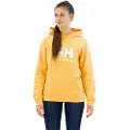 Helly Hansen Logo 2.0 Hættetrøje