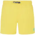 Protest Culture Badeshorts