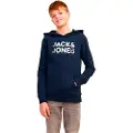 Jack & Jones Embro Palm Hættetrøje