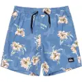 Quiksilver Everyday Straight Volley14 Badeshorts