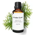 Daffoil Cedar Leaf 100ml Æterisk Olie
