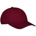 Gant Tonal Shield Kasket