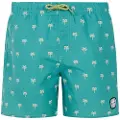 Protest Steven Badeshorts