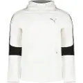 Puma Evostripe Sweatshirt