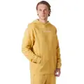 Helly Hansen Core Hættetrøje
