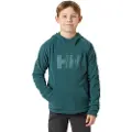 Helly Hansen Daybreaker Hættetrøje