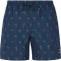 Protest Alvis Badeshorts