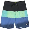 Quiksilver Everyday Panel 17 Badeshorts