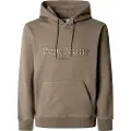 Pepe Jeans Pepe Jeanstil mænd. PM582824 Sweatshirt Danny grøn (S), Casual, Bomuld
