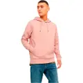 Jack & Jones Bluarchie Hættetrøje