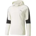 Puma Evostripe Warm Hættetrøje