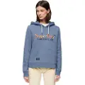 Superdry Rainbow Logo Graphic Hættetrøje
